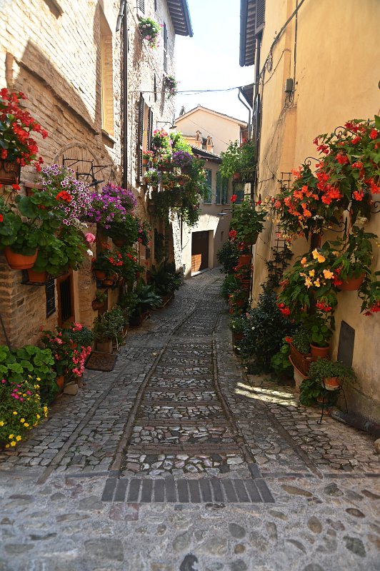 02 Spello.JPG